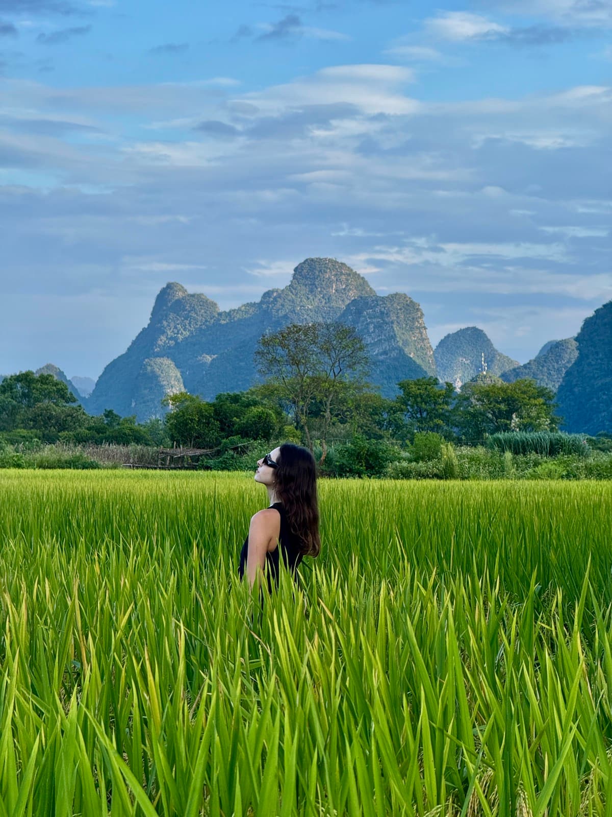 Terraços de arroz de Longji